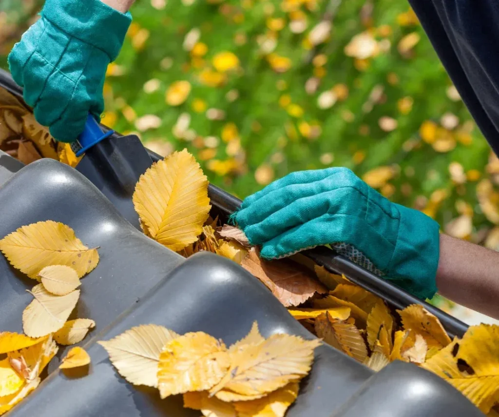 3 gutter cleaning